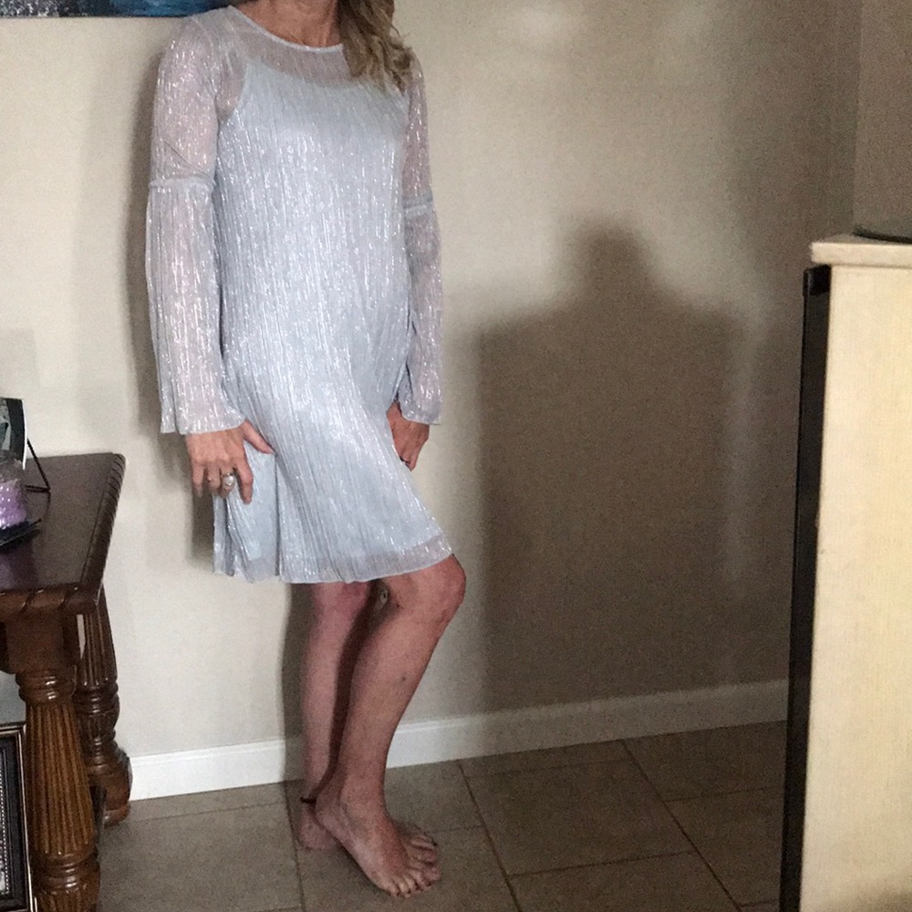 Long sleeve silver sparkle dress